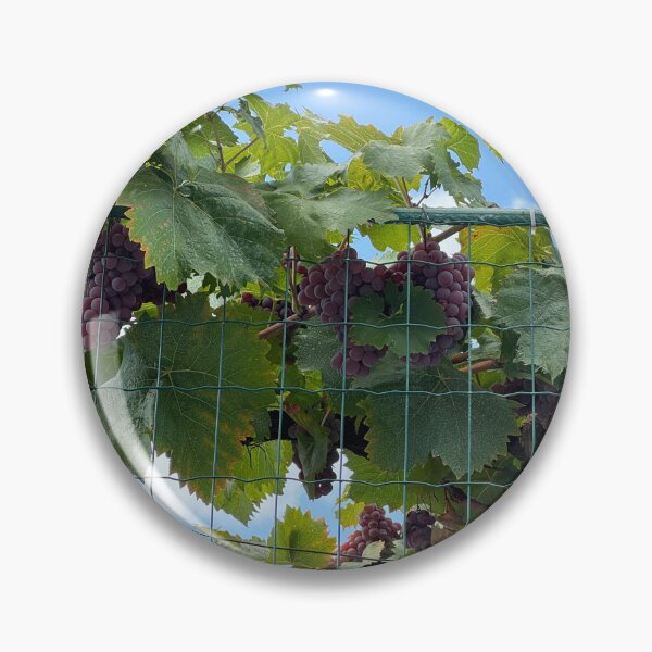 Item preview, grapes designed and sold by CCanelaG.