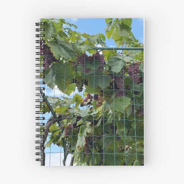 Item preview, grapes designed and sold by CCanelaG.