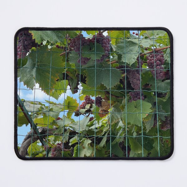 Item preview, grapes designed and sold by CCanelaG.