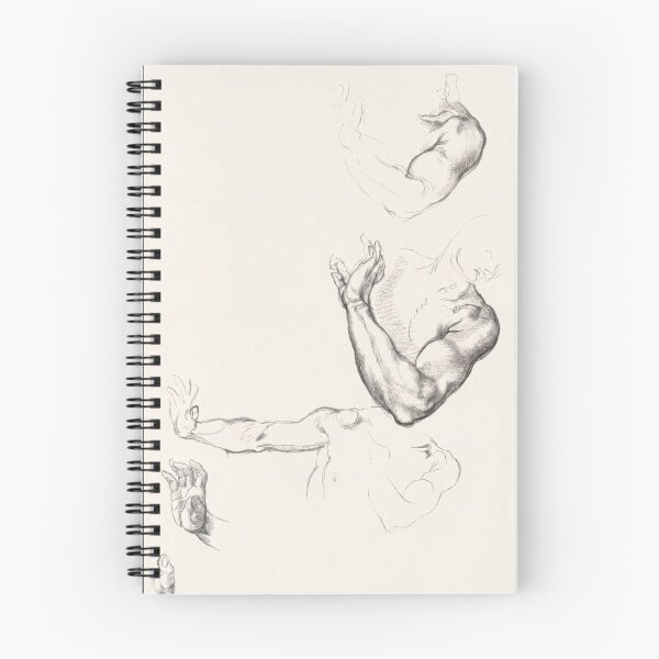 Item preview, Renaissance Anatomical Studies of Arms and Hands designed and sold by artofuniverse.