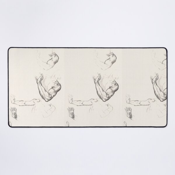 Item preview, Renaissance Anatomical Studies of Arms and Hands designed and sold by artofuniverse.