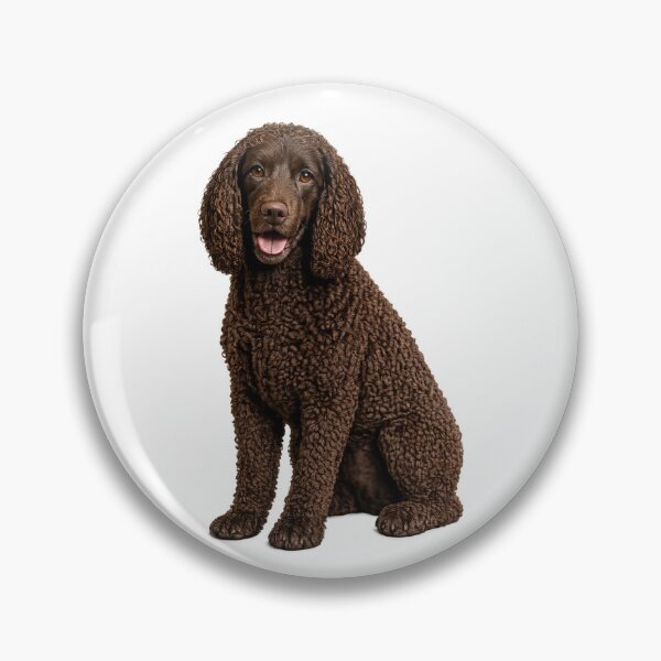 Item preview, American Water Spaniel Dog designed and sold by BackgroundND.