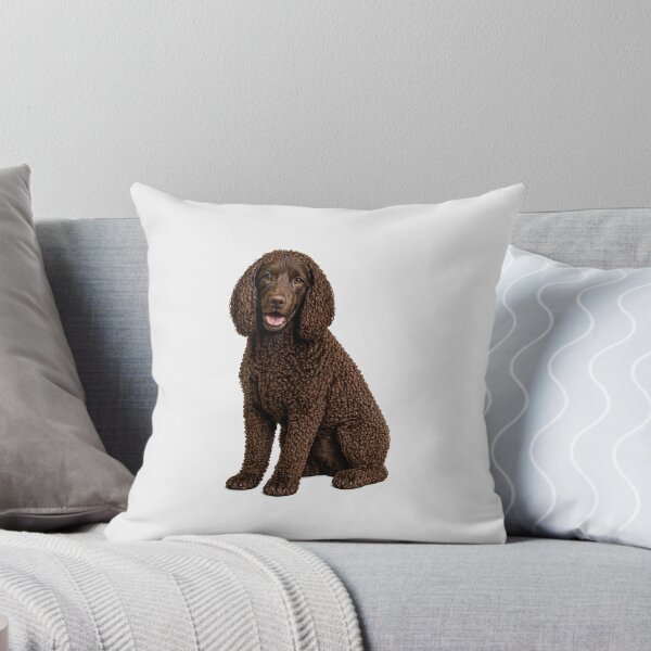 Item preview, American Water Spaniel Dog designed and sold by BackgroundND.