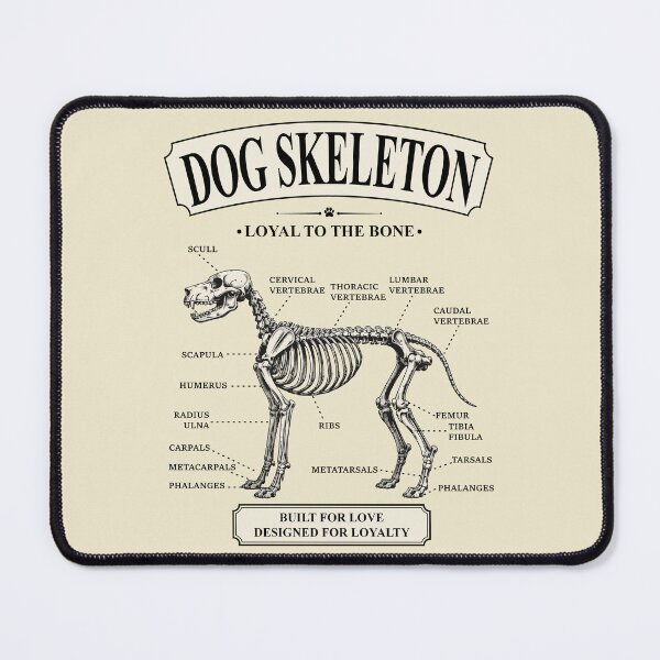 Item preview, Dog Skeleton Anatomy Vintage | Loyal to the Bone Dog Lover designed and sold by SofiaTrendShirt.