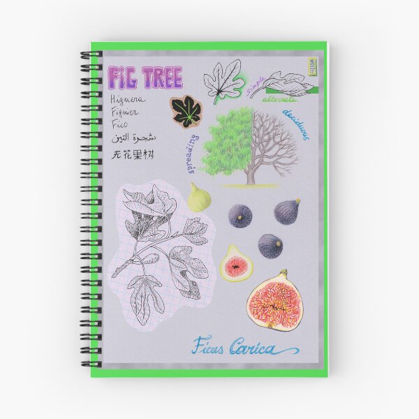 Item preview, Fig Tree designed and sold by SpaceCatVisions.