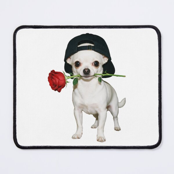 Item preview, Charming Chihuahua With Rose designed and sold by The Mellonaire.