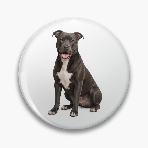 Aperçu de l'œuvre Chien American Staffordshire Terrier créée et vendue par BackgroundND.