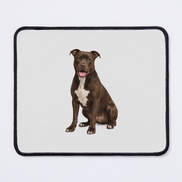 Item preview, American Staffordshire Terrier Dog designed and sold by BackgroundND.