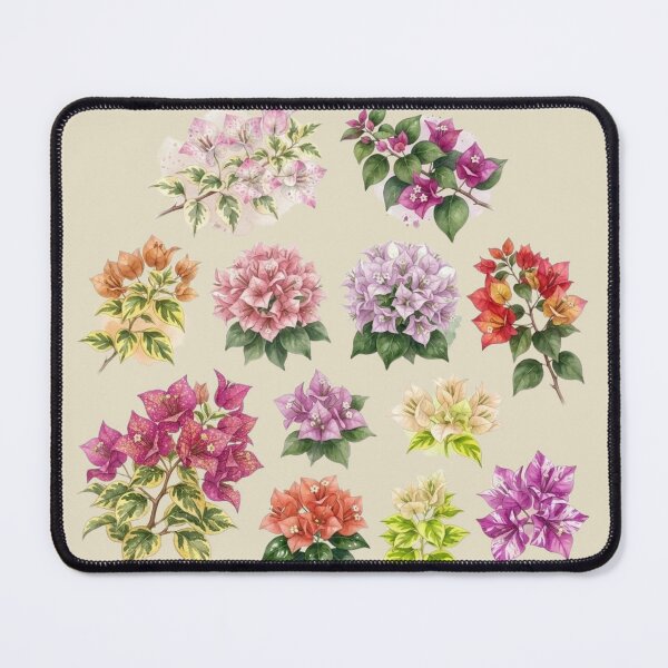 Item preview, Vintage Watercolor Bougainvillea Botanical Chart - Colorful Tropical Floral Blossom Illustration designed and sold by BLUESKY11a.