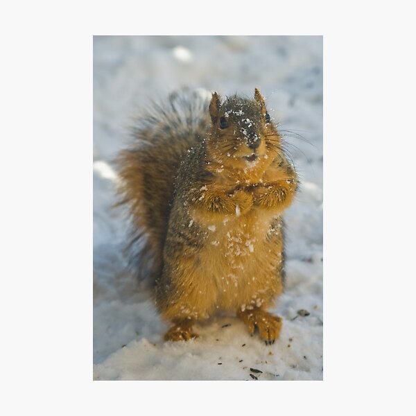 Item preview, Please, sir, may I have another peanut? designed and sold by PGornell.