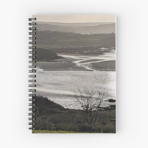Item preview, Afternoon silvery vibes in Donegal designed and sold by InShinFrog.