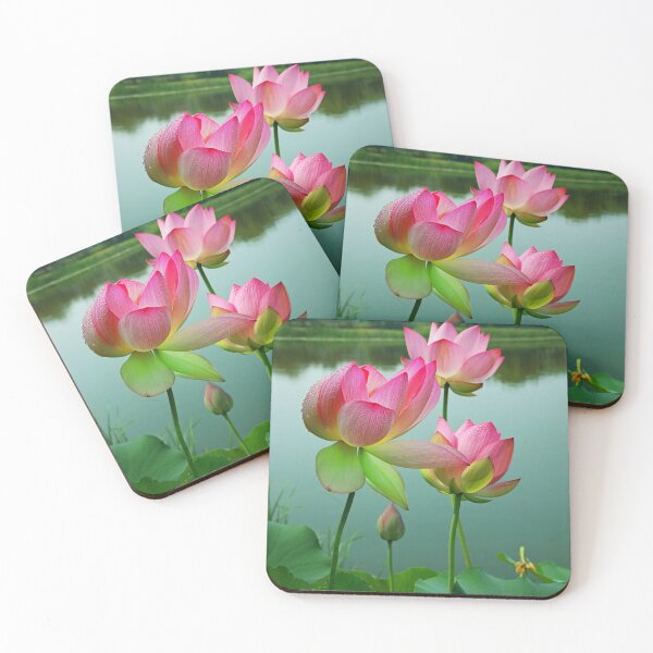 Item preview, Pink Water Lilies – Serene Pond Floral Photography by DBM Photo Gallery 1 designed and sold by DBM Photo Gallery 1.