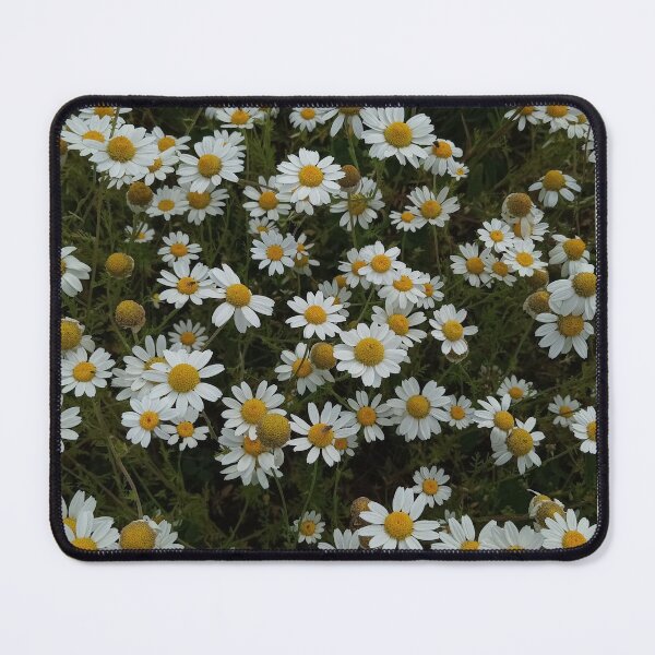 Item preview, Wild Daisy Field Floral Nature Photography designed and sold by Nature Moments.