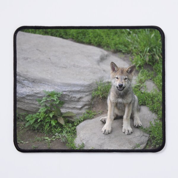 Item preview, Smiling wolf  cub designed and sold by The Wild Healing.