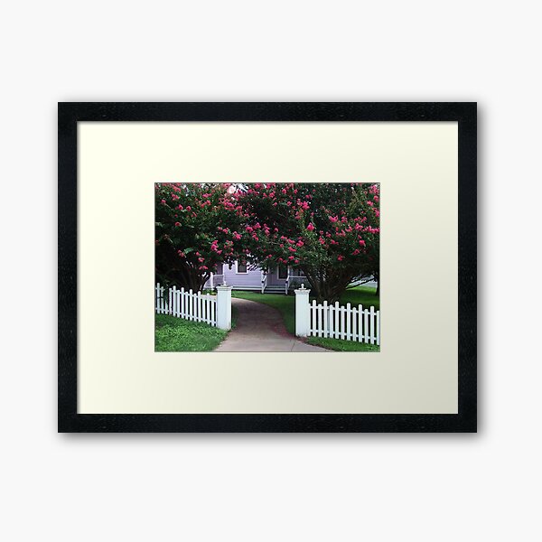 Item preview, Crape Myrtles designed and sold by Colleen Drew.