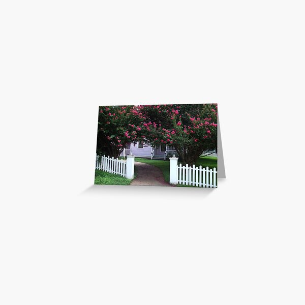 Crape Myrtles Greeting Card