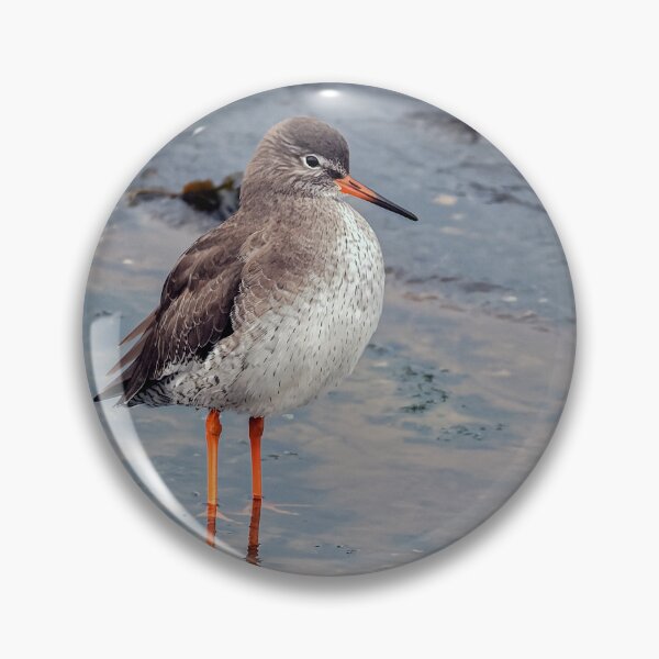 Item preview, Redshank on Shore designed and sold by Tom McPherson Photography.