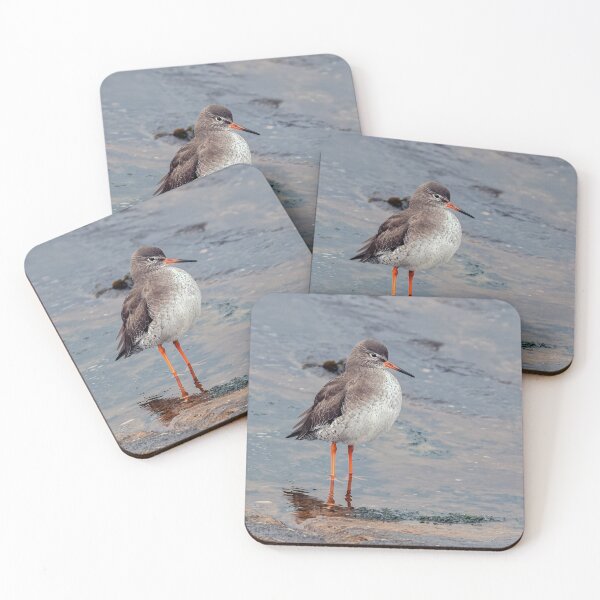 Item preview, Redshank on Shore designed and sold by Tom McPherson Photography.