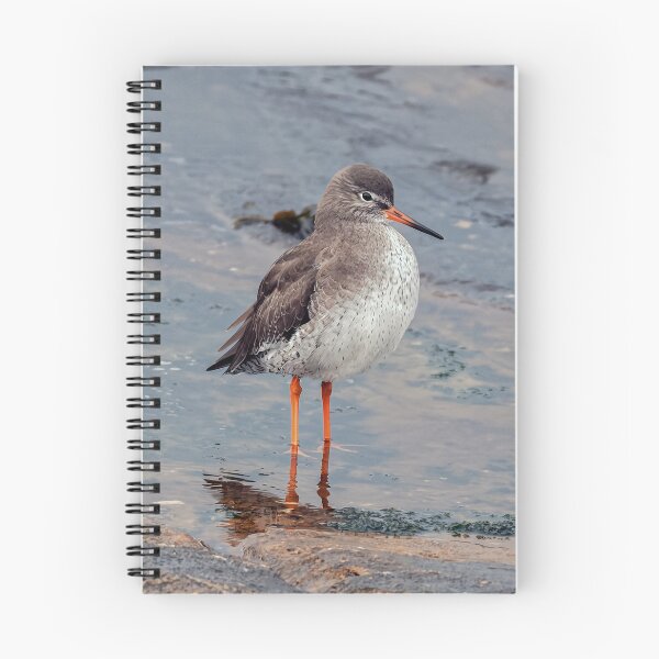 Item preview, Redshank on Shore designed and sold by Tom McPherson Photography.