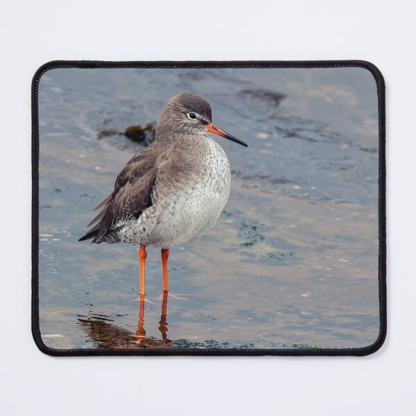 Item preview, Redshank on Shore designed and sold by Tom McPherson Photography.
