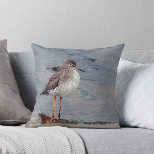 Item preview, Redshank on Shore designed and sold by Tom McPherson Photography.