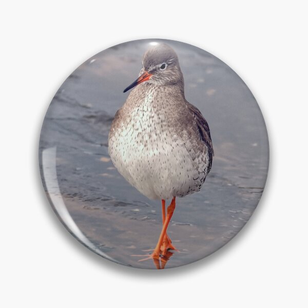 Item preview, Common Redshank designed and sold by Tom McPherson Photography.