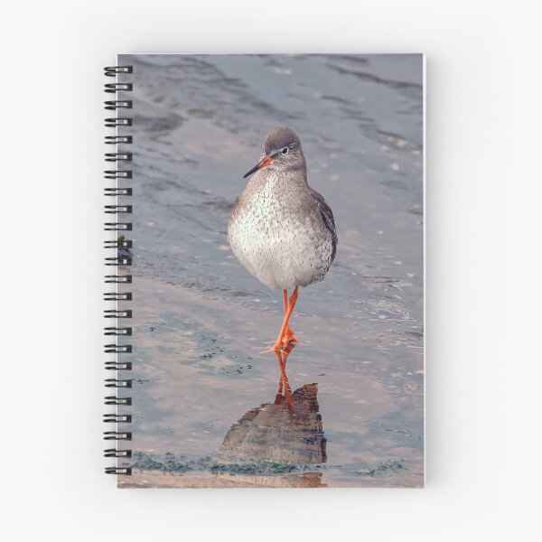 Item preview, Common Redshank designed and sold by Tom McPherson Photography.