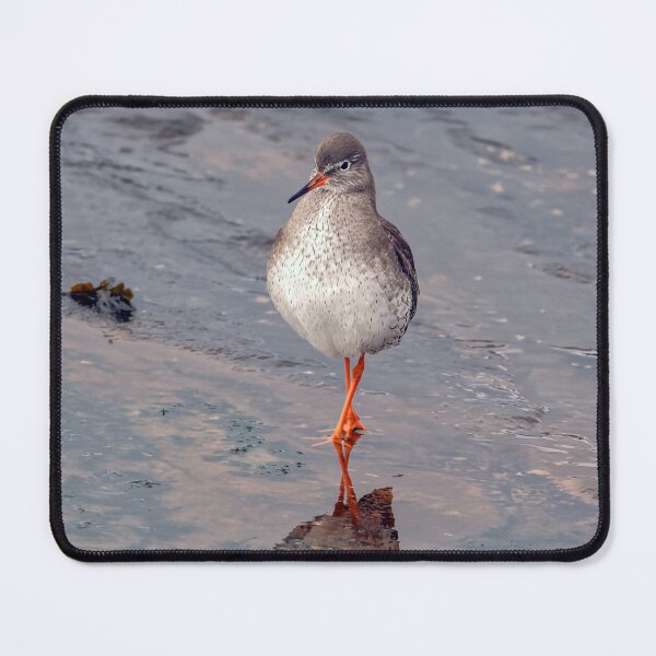 Item preview, Common Redshank designed and sold by Tom McPherson Photography.