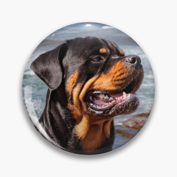 Item preview, Yogi the Rottweiler designed and sold by Tom McPherson Photography.