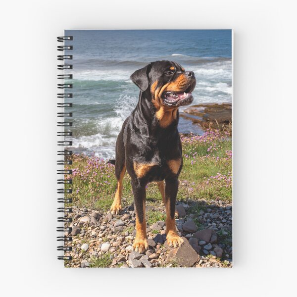 Item preview, Yogi the Rottweiler designed and sold by Tom McPherson Photography.