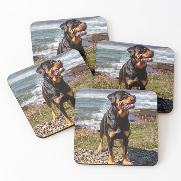 Item preview, Yogi the Rottweiler designed and sold by Tom McPherson Photography.