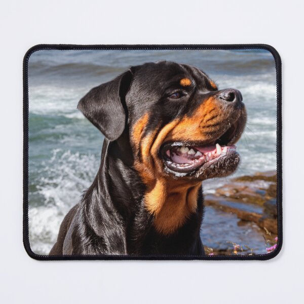 Item preview, Yogi the Rottweiler designed and sold by Tom McPherson Photography.