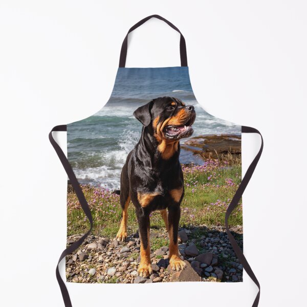 Item preview, Yogi the Rottweiler designed and sold by Tom McPherson Photography.
