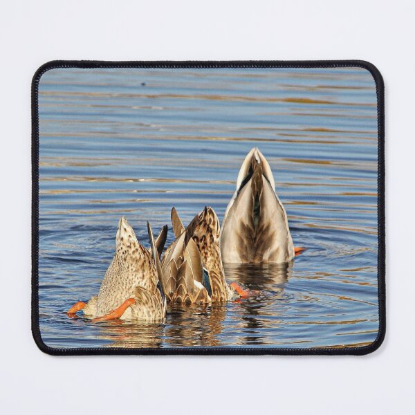 Item preview, Canadian Ducks Doing Underwater Comedy Act designed and sold by HenryHog.