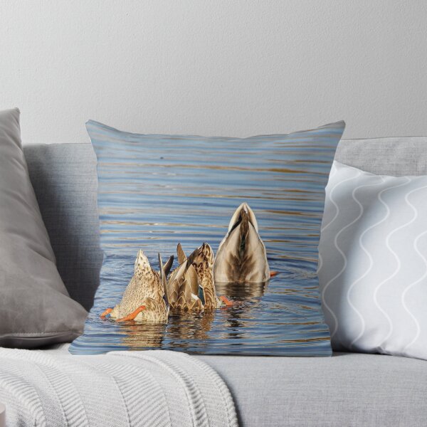 Item preview, Canadian Ducks Doing Underwater Comedy Act designed and sold by HenryHog.