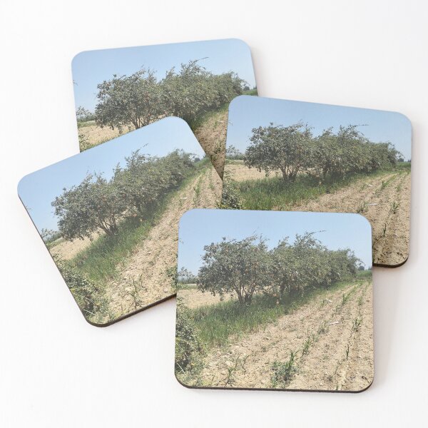 Item preview, Greenfield  designed and sold by Nashwajudy.