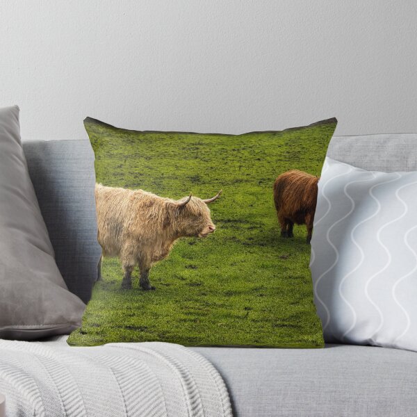Item preview, Chocolate and Cream Highland Cows designed and sold by Astute-Artio-Photography.
