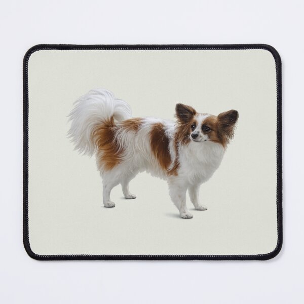 Item preview, Elegant Papillon Dog designed and sold by Susan Savad.