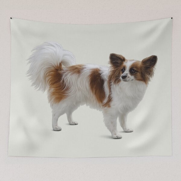Item preview, Elegant Papillon Dog designed and sold by Susan Savad.