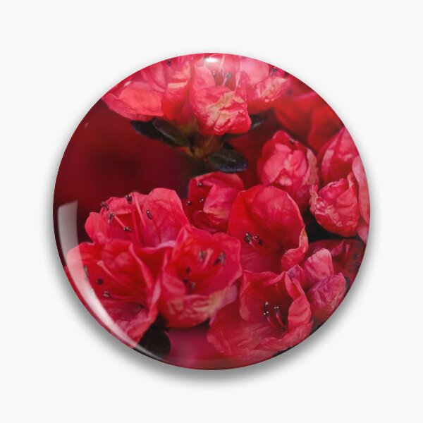 Item preview, Red Azalea Blooms Photo designed and sold by NikaNavi.