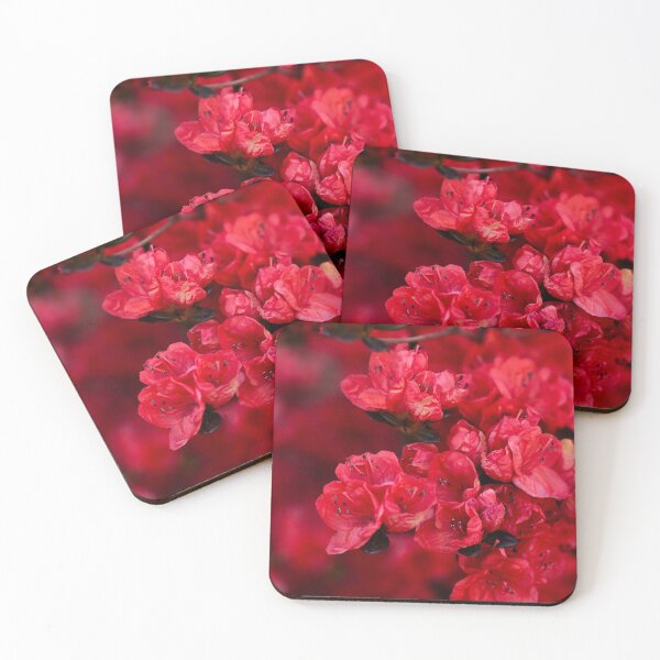 Item preview, Red Azalea Blooms Photo designed and sold by NikaNavi.