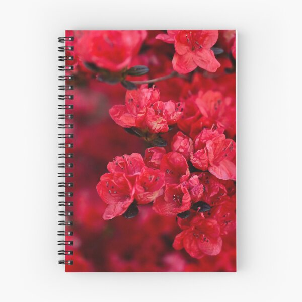 Item preview, Red Azalea Blooms Photo designed and sold by NikaNavi.