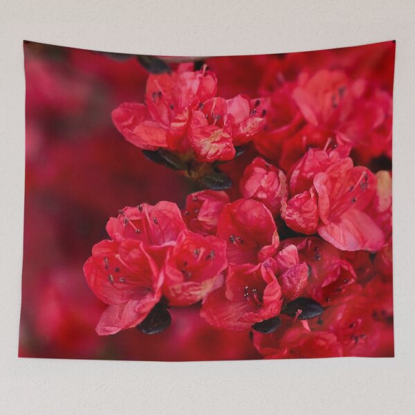 Item preview, Red Azalea Blooms Photo designed and sold by NikaNavi.