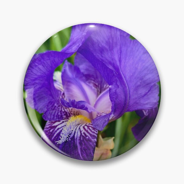 Item preview, Purple Iris Photo designed and sold by NikaNavi.