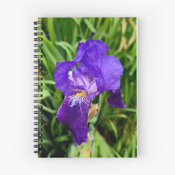 Item preview, Purple Iris Photo designed and sold by NikaNavi.