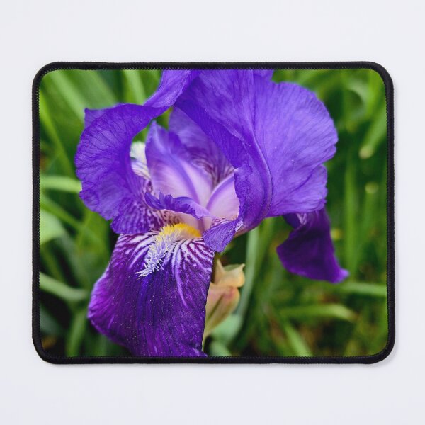 Item preview, Purple Iris Photo designed and sold by NikaNavi.