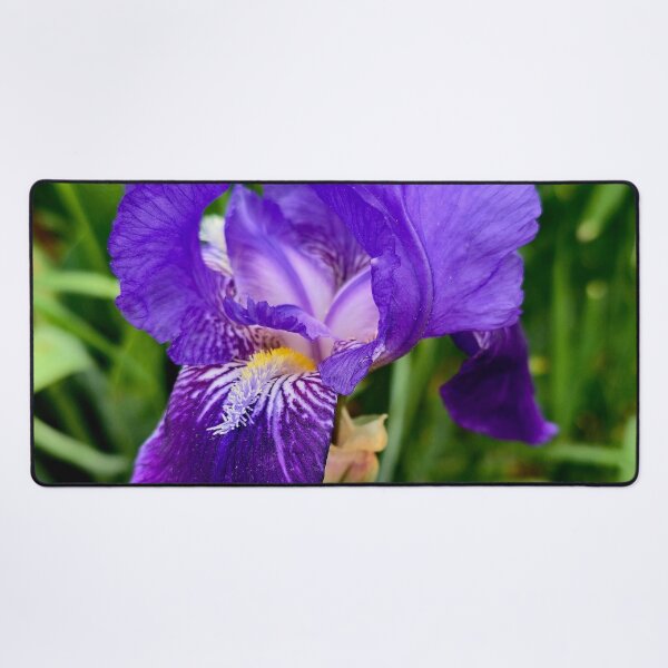 Item preview, Purple Iris Photo designed and sold by NikaNavi.