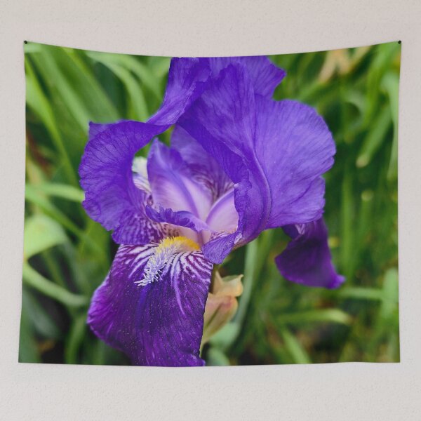 Item preview, Purple Iris Photo designed and sold by NikaNavi.