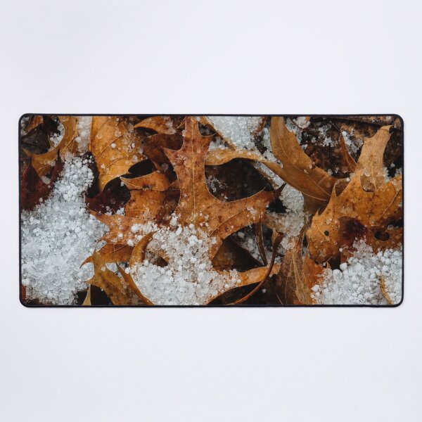Item preview, Graupel Snow on Autumn Brown Leaves Photo designed and sold by NikaNavi.