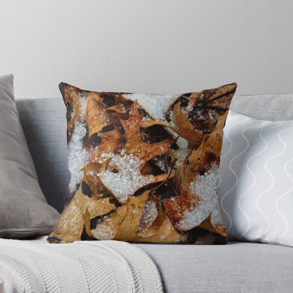 Item preview, Graupel Snow on Autumn Brown Leaves Photo designed and sold by NikaNavi.